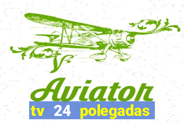 tv 24 polegadas casas bahia