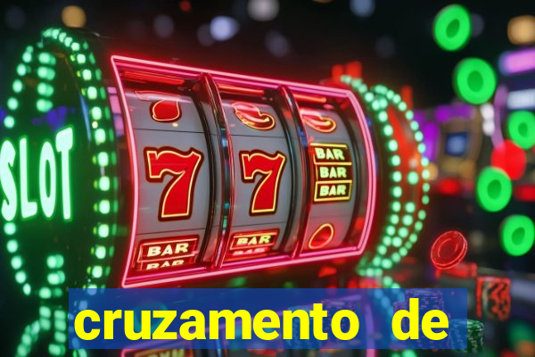 cruzamento de cavalo com jumenta globo rural