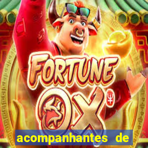 acompanhantes de luxo sc