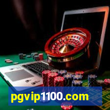 pgvip1100.com