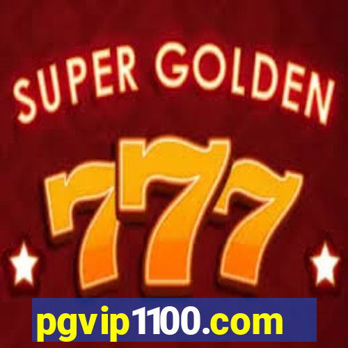 pgvip1100.com