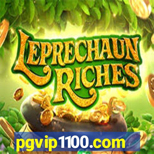 pgvip1100.com