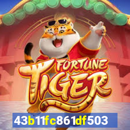 s55bet.net