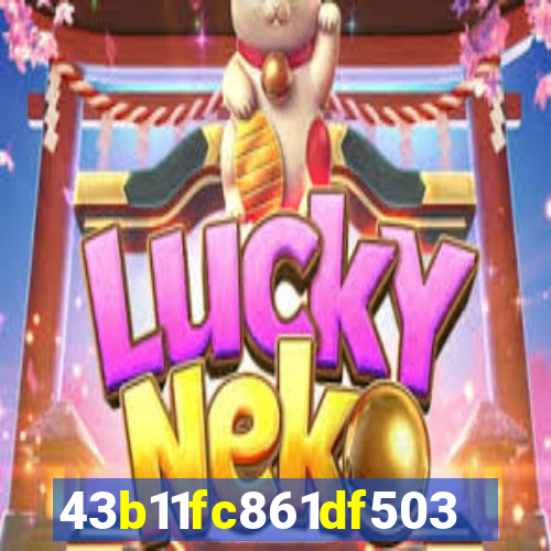 s55bet.net