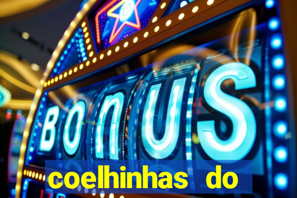 coelhinhas do brasil recife