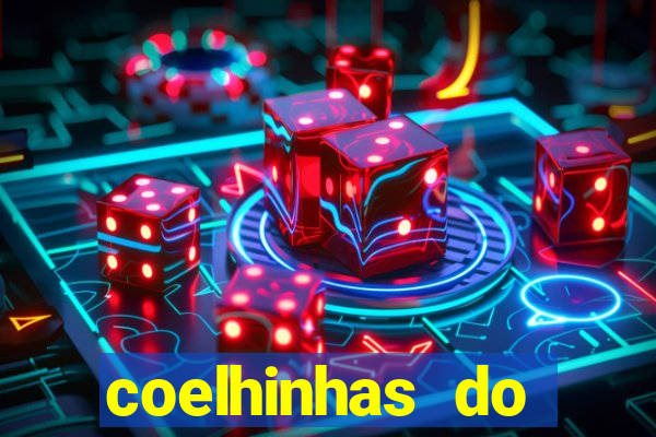 coelhinhas do brasil recife