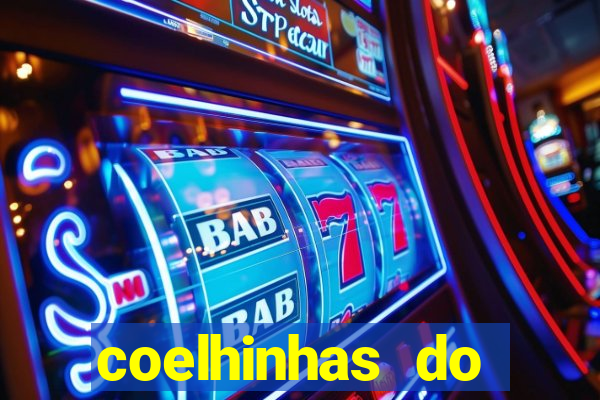 coelhinhas do brasil recife