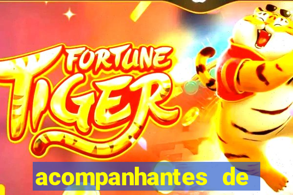 acompanhantes de nova mutum