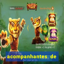 acompanhantes de nova mutum