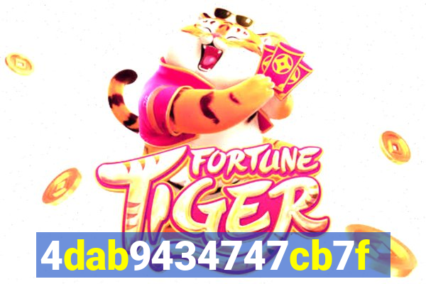 255bet com