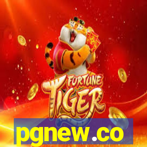 pgnew.co