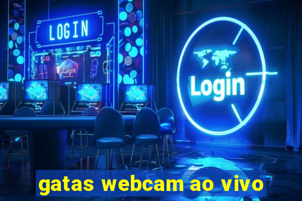 gatas webcam ao vivo