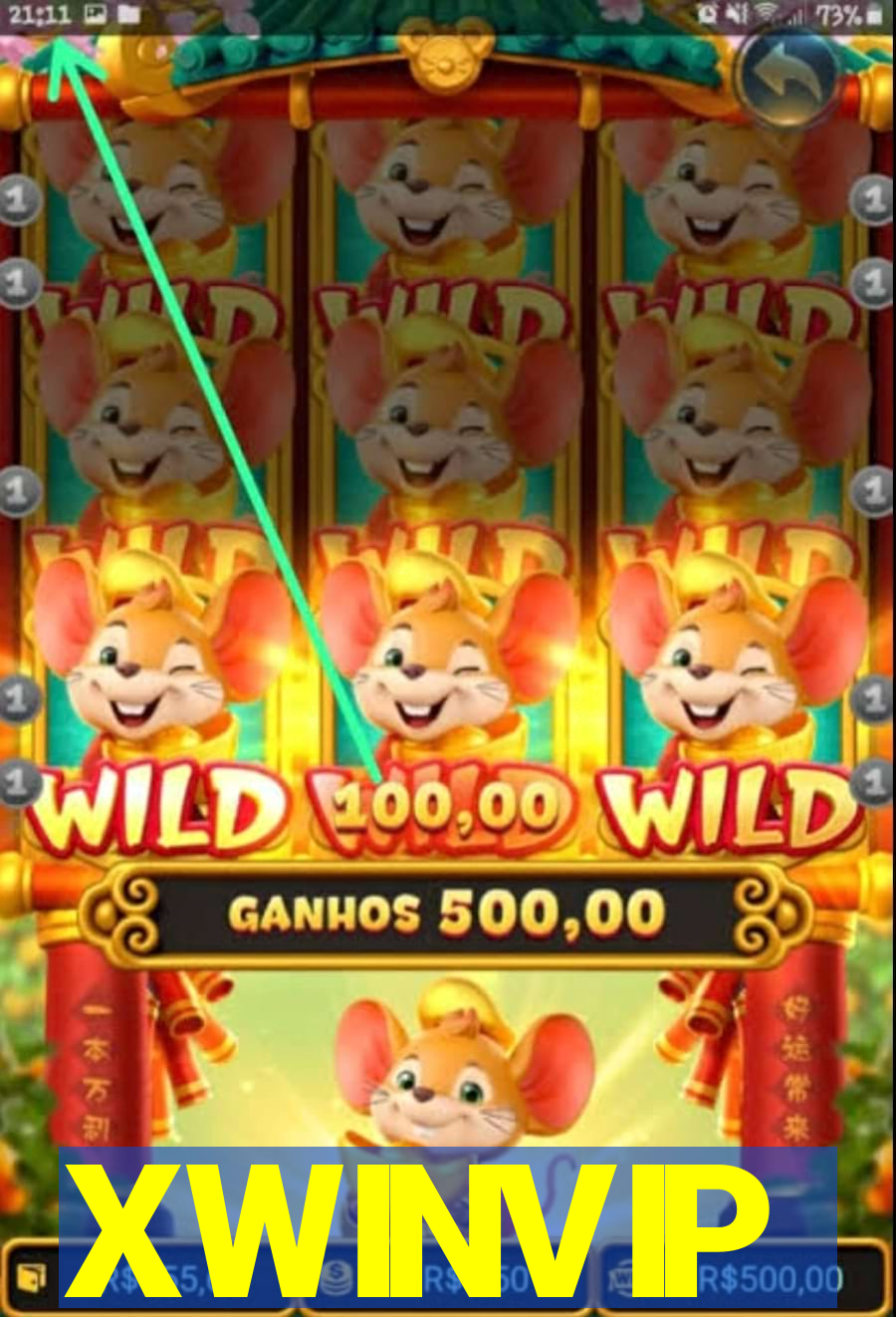 XWINVIP