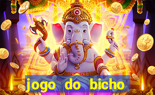 jogo do bicho crash bingo