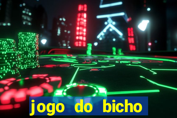 jogo do bicho crash bingo