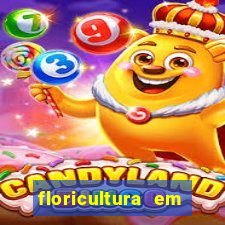 floricultura em lauro de freitas