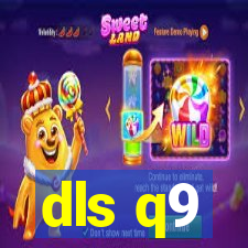 dls q9
