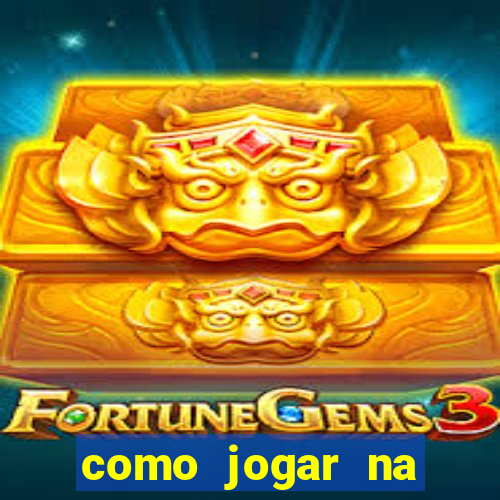 como jogar na seninha online