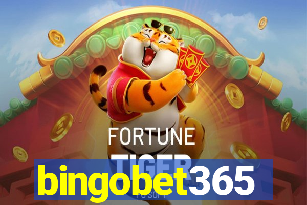 bingobet365