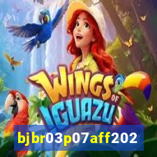 bjbr03p07aff2023.com