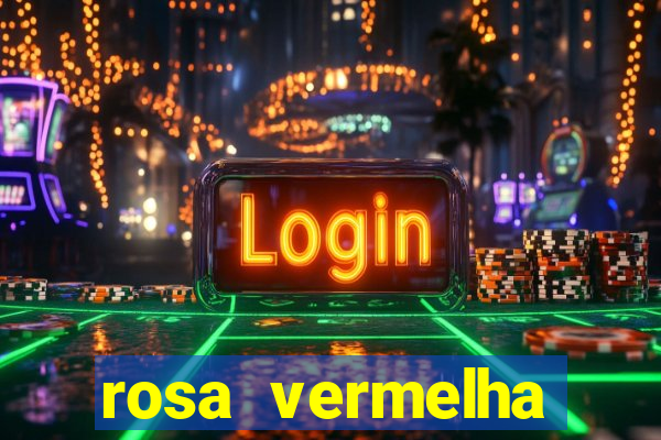 rosa vermelha (letra e cifra)