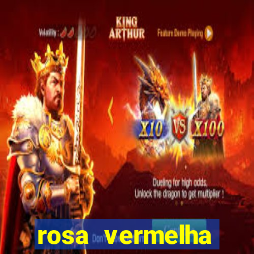 rosa vermelha (letra e cifra)