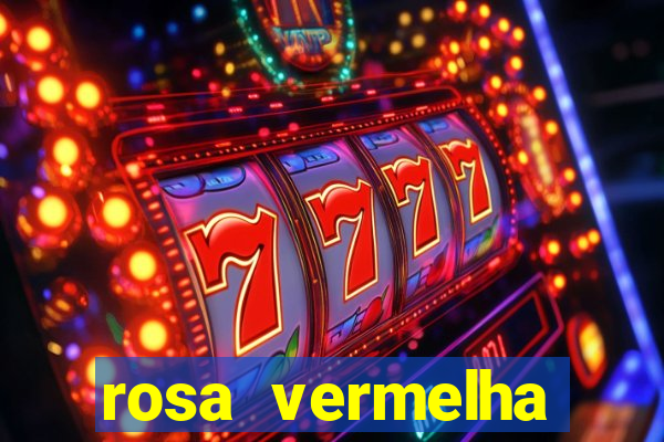 rosa vermelha (letra e cifra)