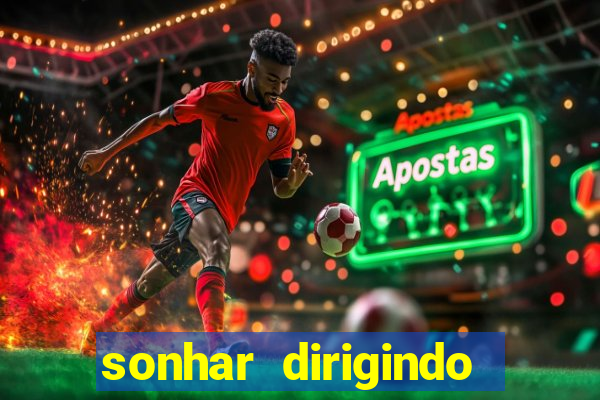 sonhar dirigindo carro jogo do bicho