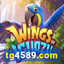 tg4589.com