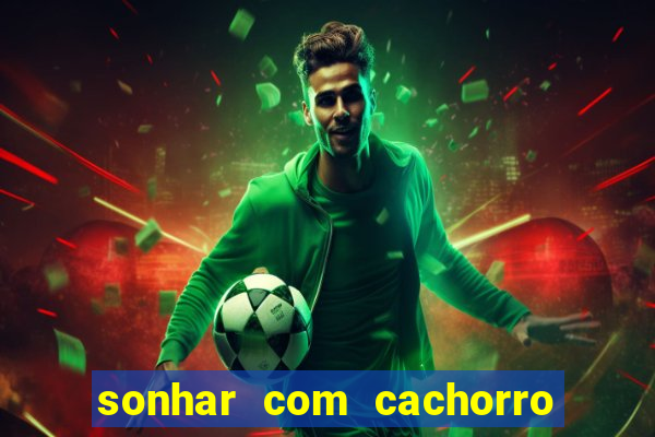 sonhar com cachorro cruzando jogo do bicho