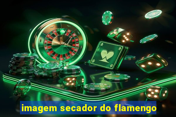 imagem secador do flamengo