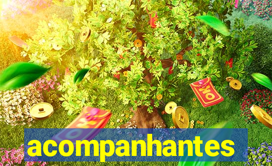 acompanhantes chamada de video