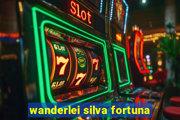 wanderlei silva fortuna