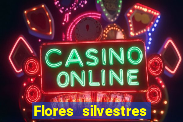 Flores silvestres brasileiras 25
