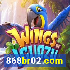 868br02.com