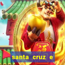 santa cruz e cruzeiro ao vivo hd