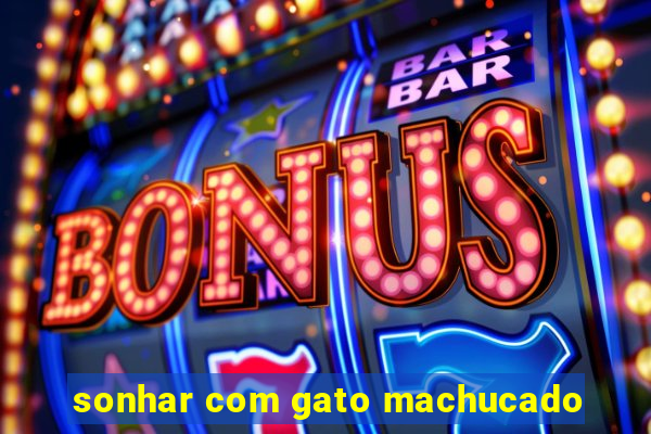 sonhar com gato machucado