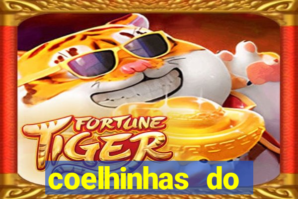 coelhinhas do brasil site