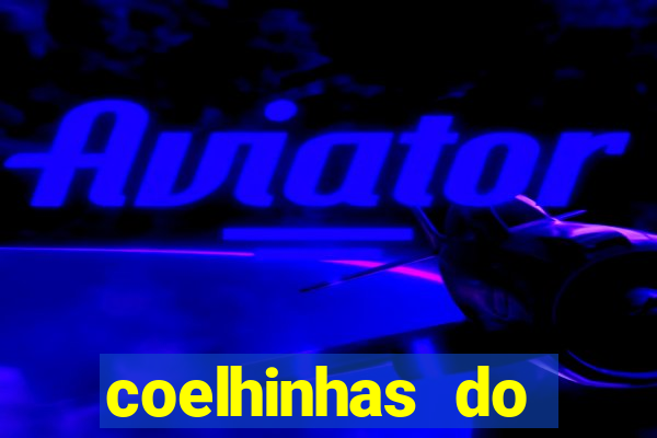 coelhinhas do brasil site