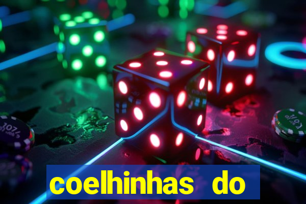 coelhinhas do brasil site