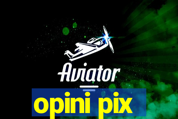 opini pix
