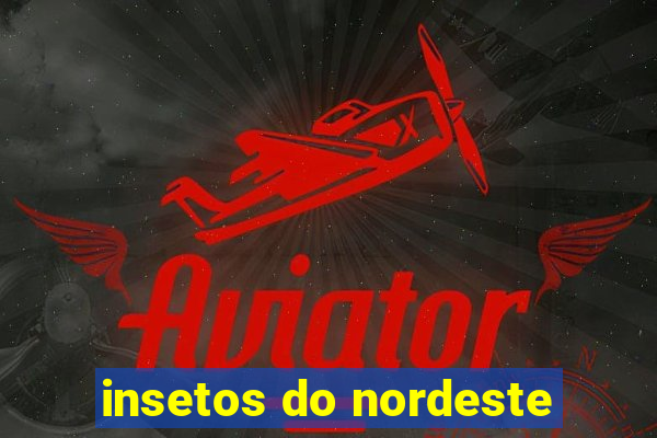 insetos do nordeste