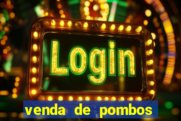 venda de pombos correios olx