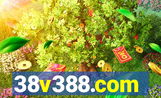 38v388.com