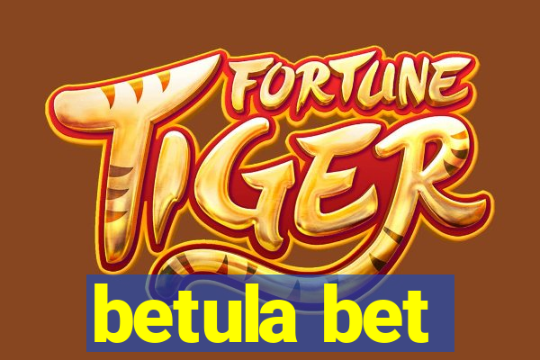 betula bet