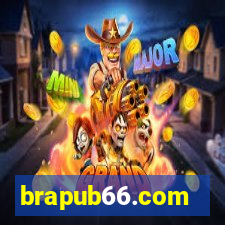 brapub66.com