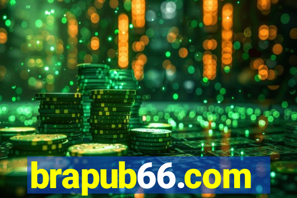 brapub66.com