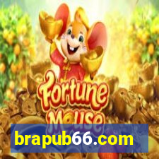 brapub66.com