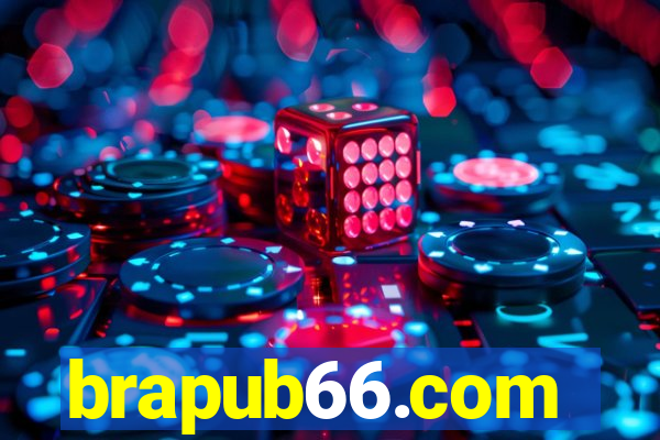 brapub66.com
