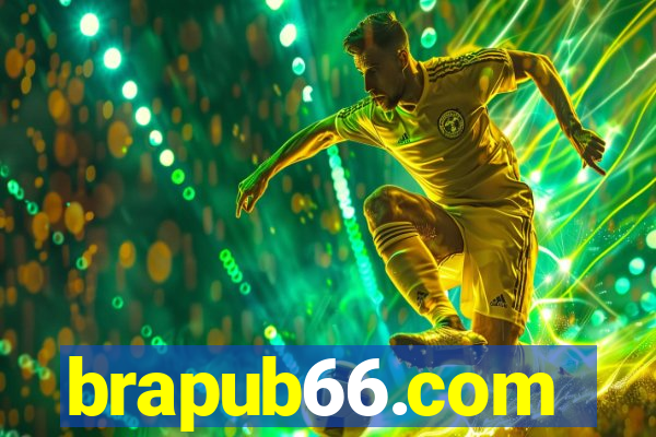 brapub66.com